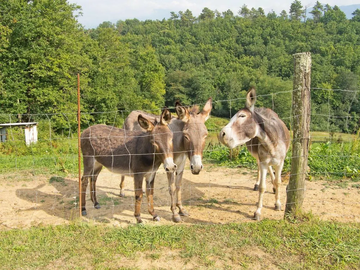 农家乐 Agriturismo La Selva 奥拉