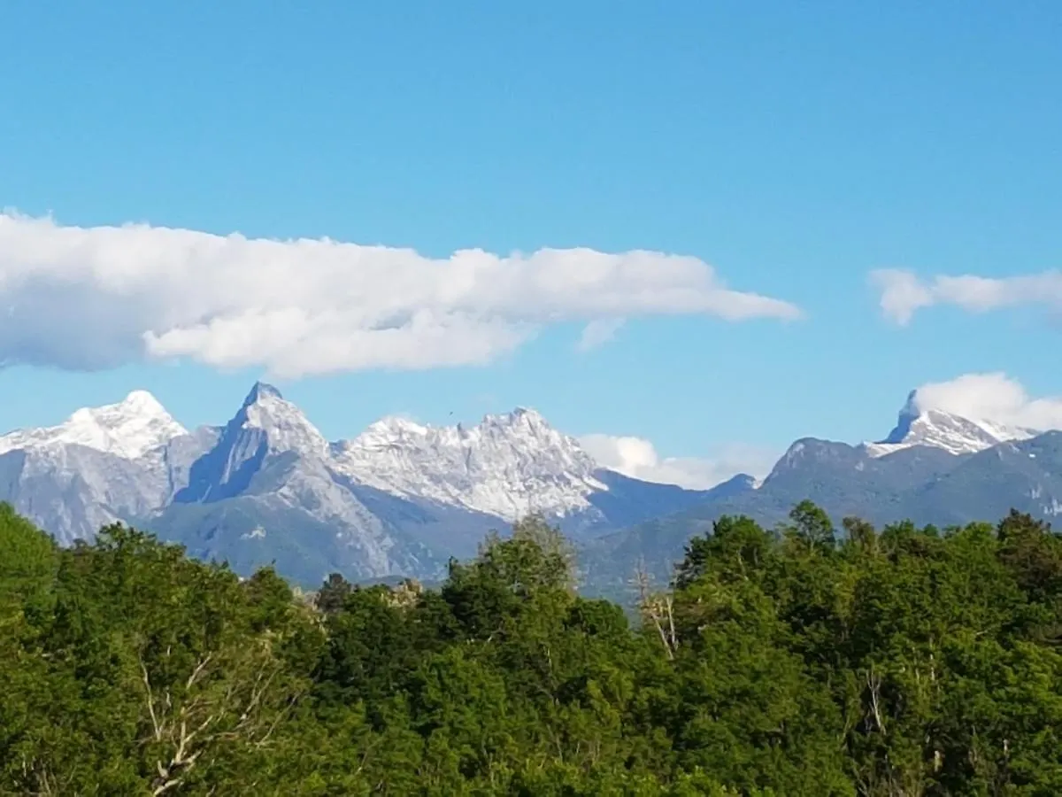 Agriturismo La Selva 奥拉